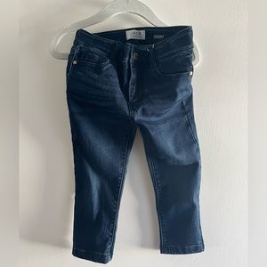Toddler Janie and Jack Denim pants. 2T.  Skinny